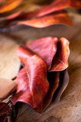 72 Inch Orange Magnolia Garland