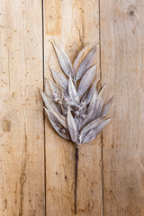 24 Inch Tan Eucalyptus & Rosehip Pick