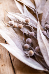 24 Inch Tan Eucalyptus & Rosehip Pick