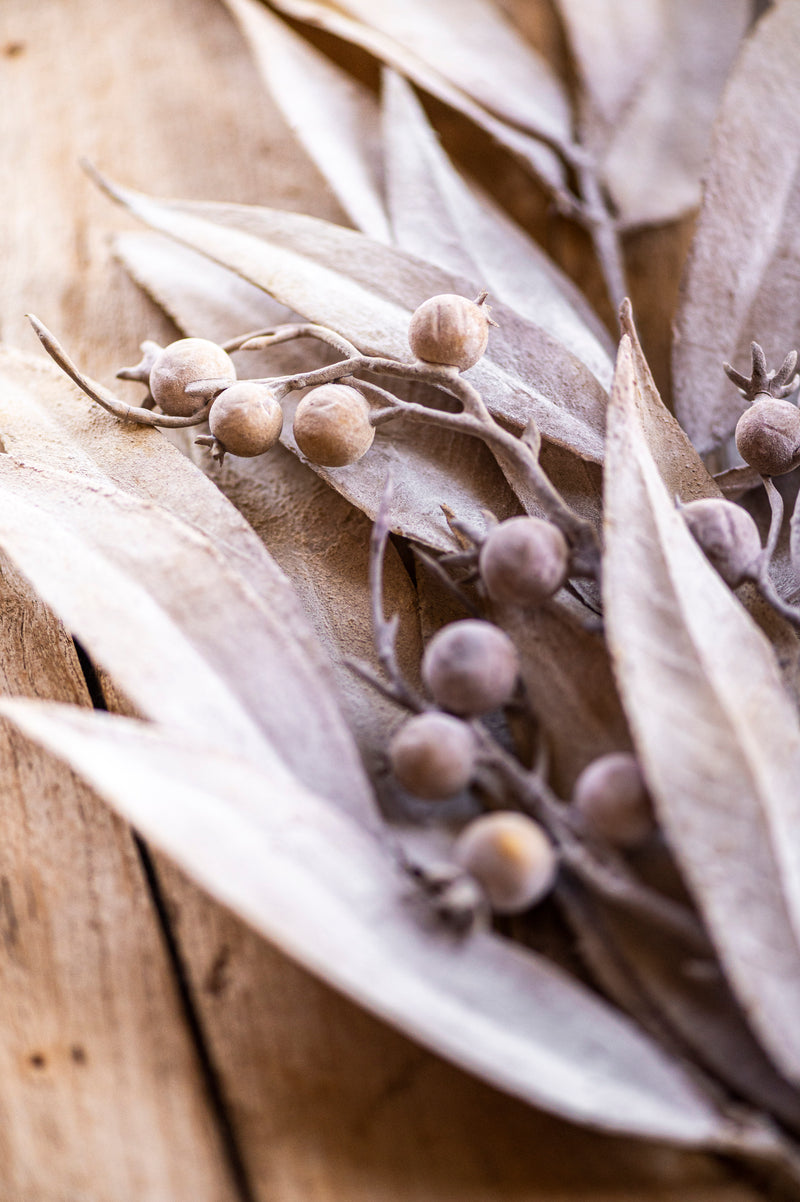 24 Inch Tan Eucalyptus & Rosehip Pick