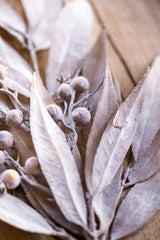 24 Inch Tan Eucalyptus & Rosehip Pick