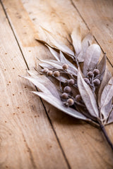 24 Inch Tan Eucalyptus & Rosehip Pick