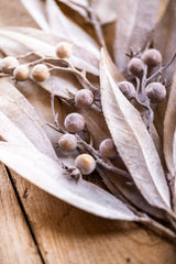 24 Inch Tan Eucalyptus & Rosehip Pick