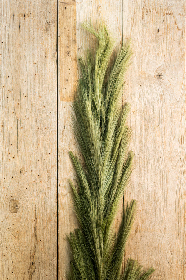 58.5 Inch Green Pampas Grass Stem