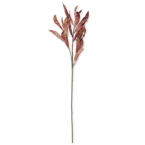 42 Inch Burgundy w/Green Eva Pod Spray