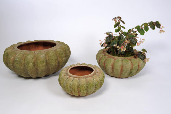 MED MANDARINA PLANTER AGED