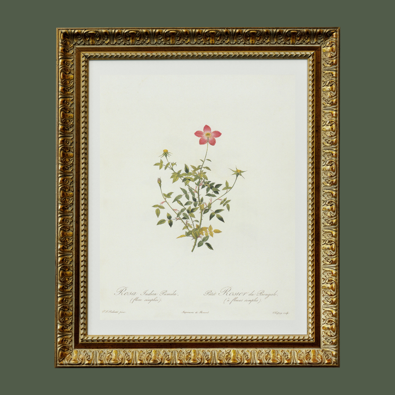 Petite Pink Floral Antique Print