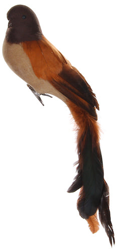 Feather bird brown 33cm