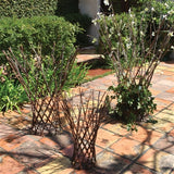 FLARED TWIG TRELLIS - MED - NATURAL