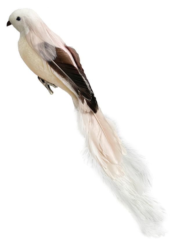Bird with clip cream oistrich tail 45cm