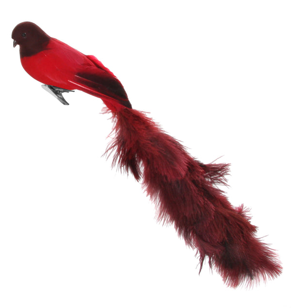 Bird with clip red oistrich tail 55cm