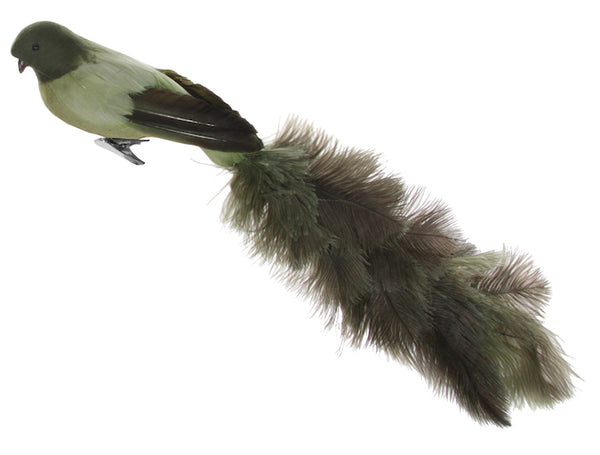 Bird with clip green oistrich tail 55cm