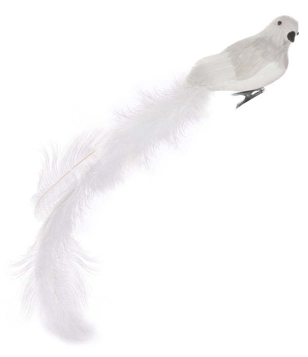 Feather bird grey-cream oistrich tail 50