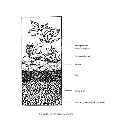 Terrarium hc