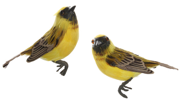Feather bird yellow-brown mix2 10,5cm