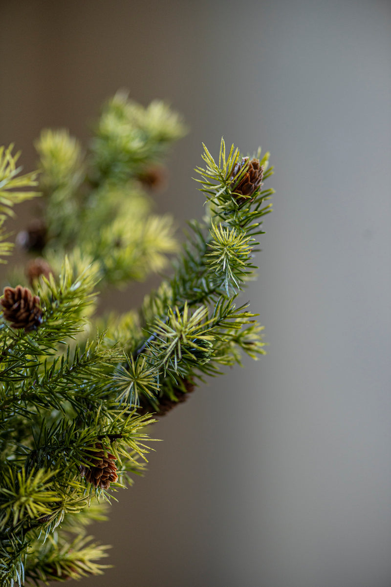 26 Inch Angel Pine Stem