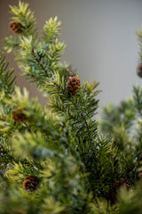 26 Inch Angel Pine Stem