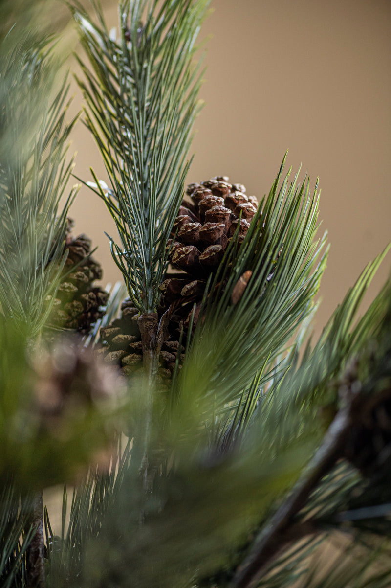 32 Inch Seafoam Long Needle Pine Stem w/Large