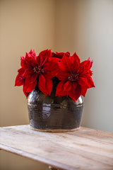 9 Inch Red Poinsettia Pick