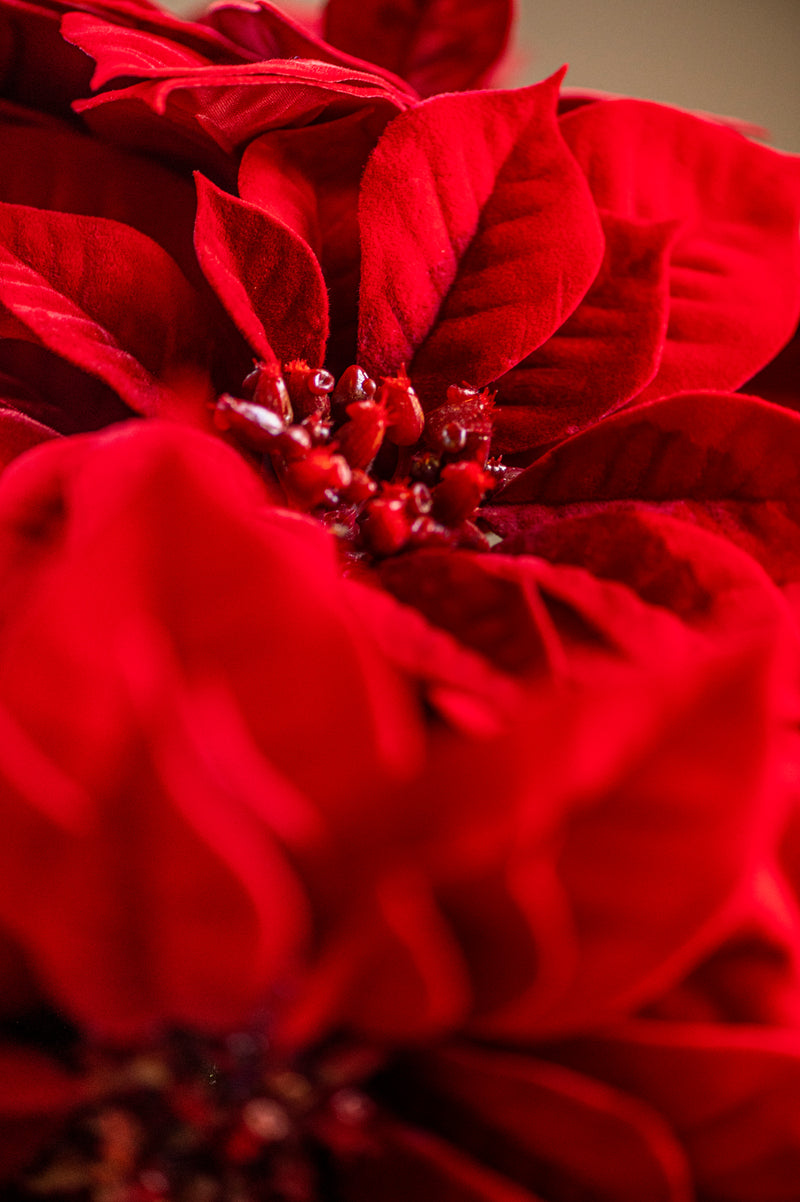 9 Inch Red Poinsettia Pick