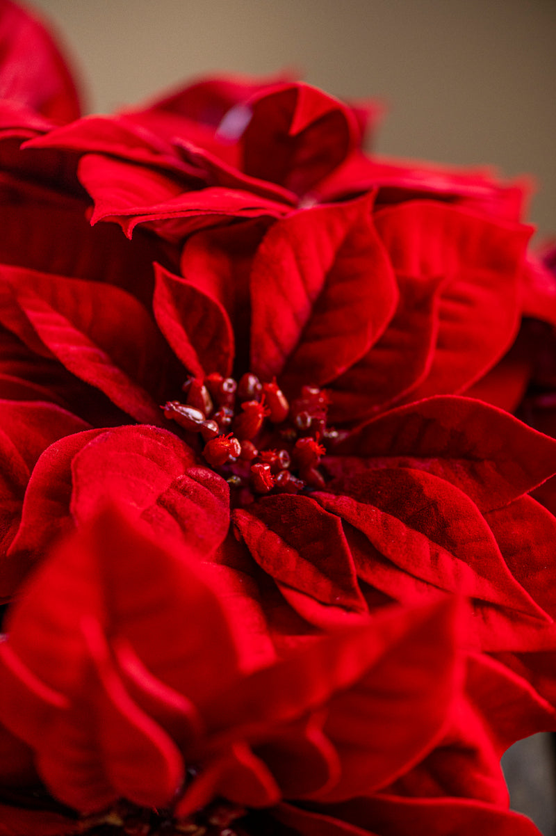9 Inch Red Poinsettia Pick