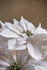 9 Inch White Poinsettia Pick