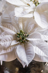 9 Inch White Poinsettia Pick