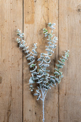32 Inch Snowy Flocked Eucalyptus Stem