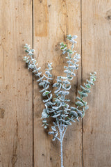 32 Inch Snowy Flocked Eucalyptus Stem