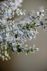 32 Inch Snowy Flocked Eucalyptus Stem