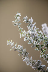 32 Inch Snowy Flocked Eucalyptus Stem