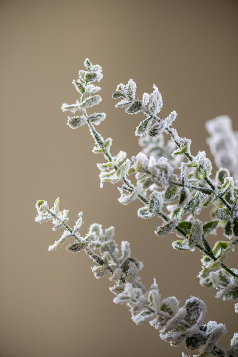 32 Inch Snowy Flocked Eucalyptus Stem