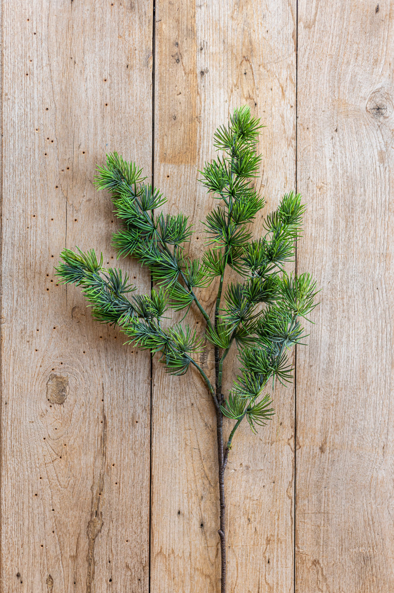 34.5 Inch Cedar Pine Branch