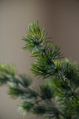 34.5 Inch Cedar Pine Branch