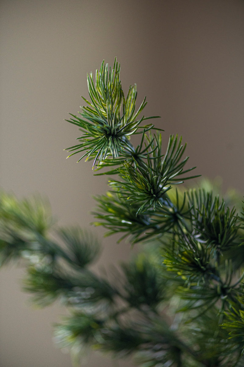 34.5 Inch Cedar Pine Branch