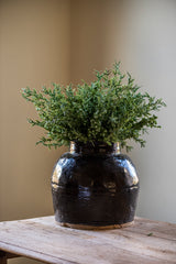 15 Inch Juniper Bush w/Mini Green Berries