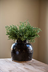 15 Inch Juniper Bush w/Mini Green Berries