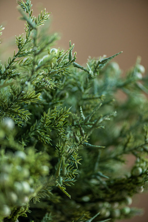 15 Inch Juniper Bush w/Mini Green Berries