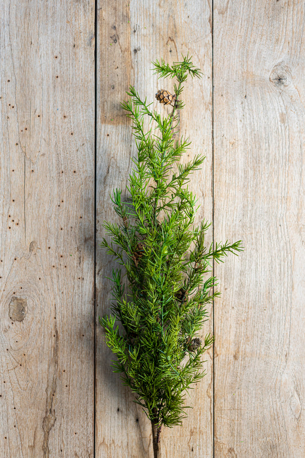 40 Inch Pine Stem w/Small Pinecones