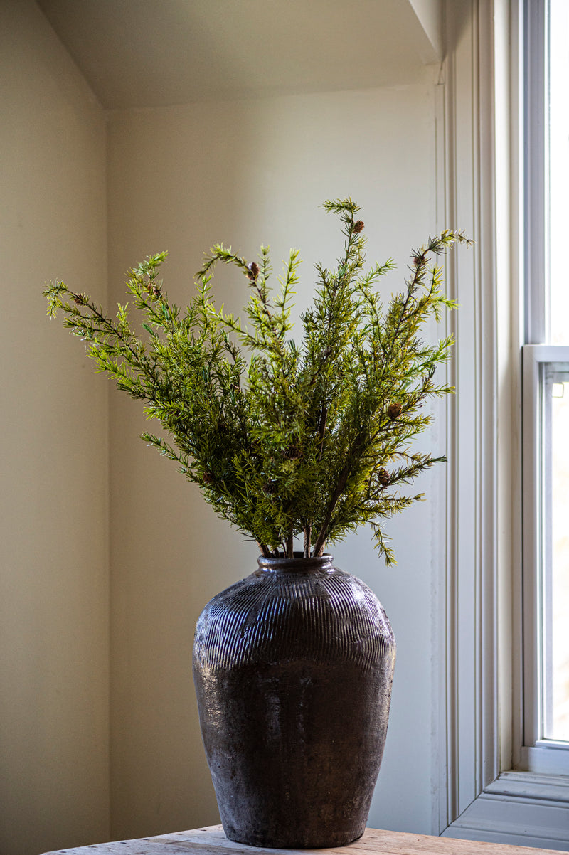 40 Inch Pine Stem w/Small Pinecones