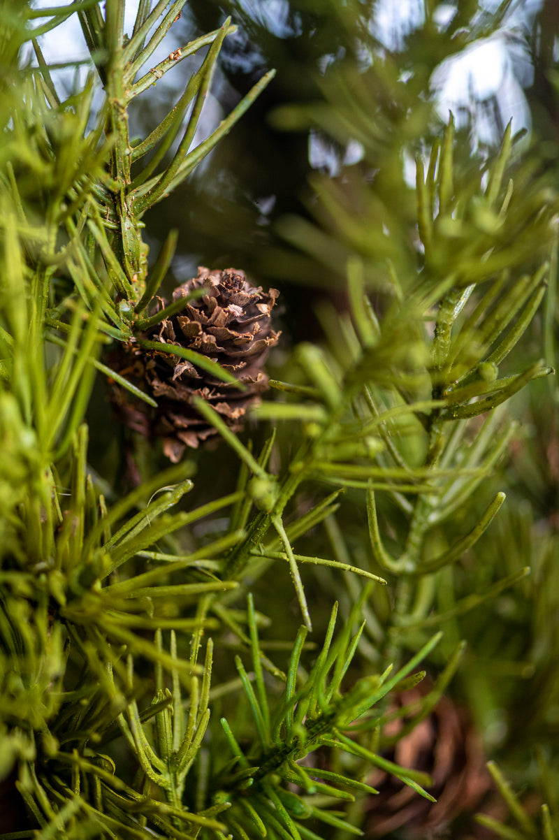 40 Inch Pine Stem w/Small Pinecones