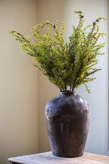 40 Inch Pine Stem w/Small Pinecones