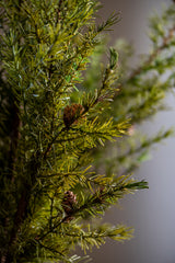 40 Inch Pine Stem w/Small Pinecones
