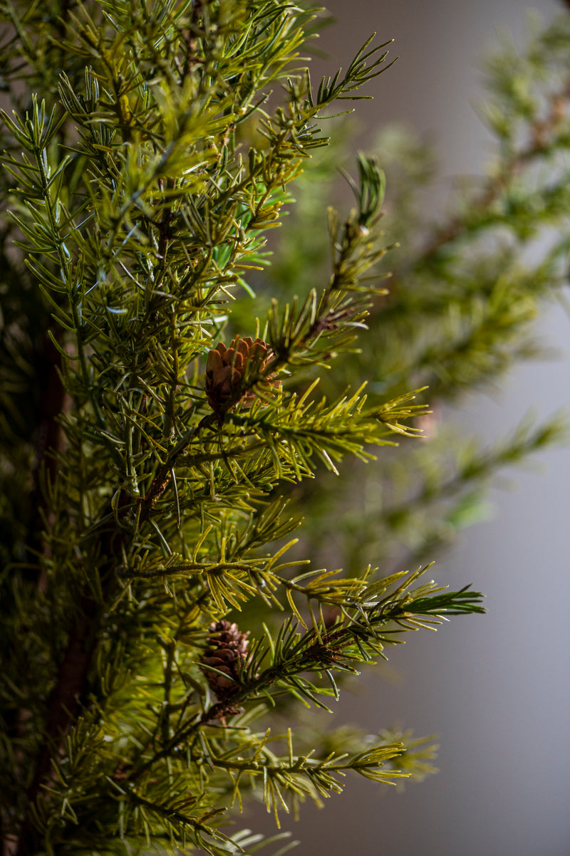40 Inch Pine Stem w/Small Pinecones