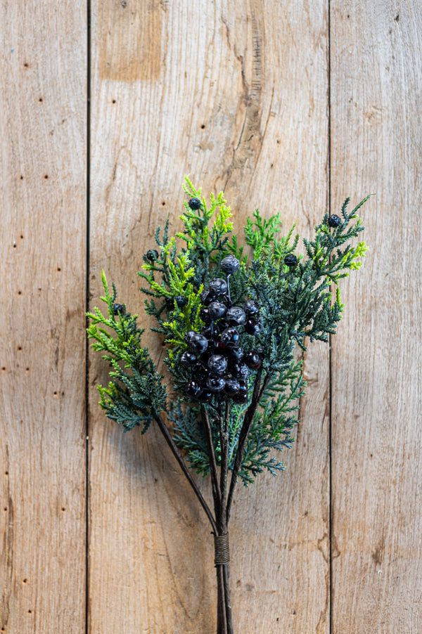 16.25 Inch Cedar & Blueberry Bundle (6 Stem)