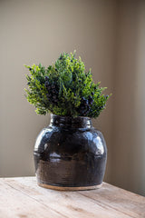 16.25 Inch Cedar & Blueberry Bundle (6 Stem)