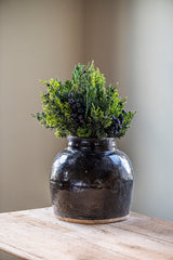 16.25 Inch Cedar & Blueberry Bundle (6 Stem)