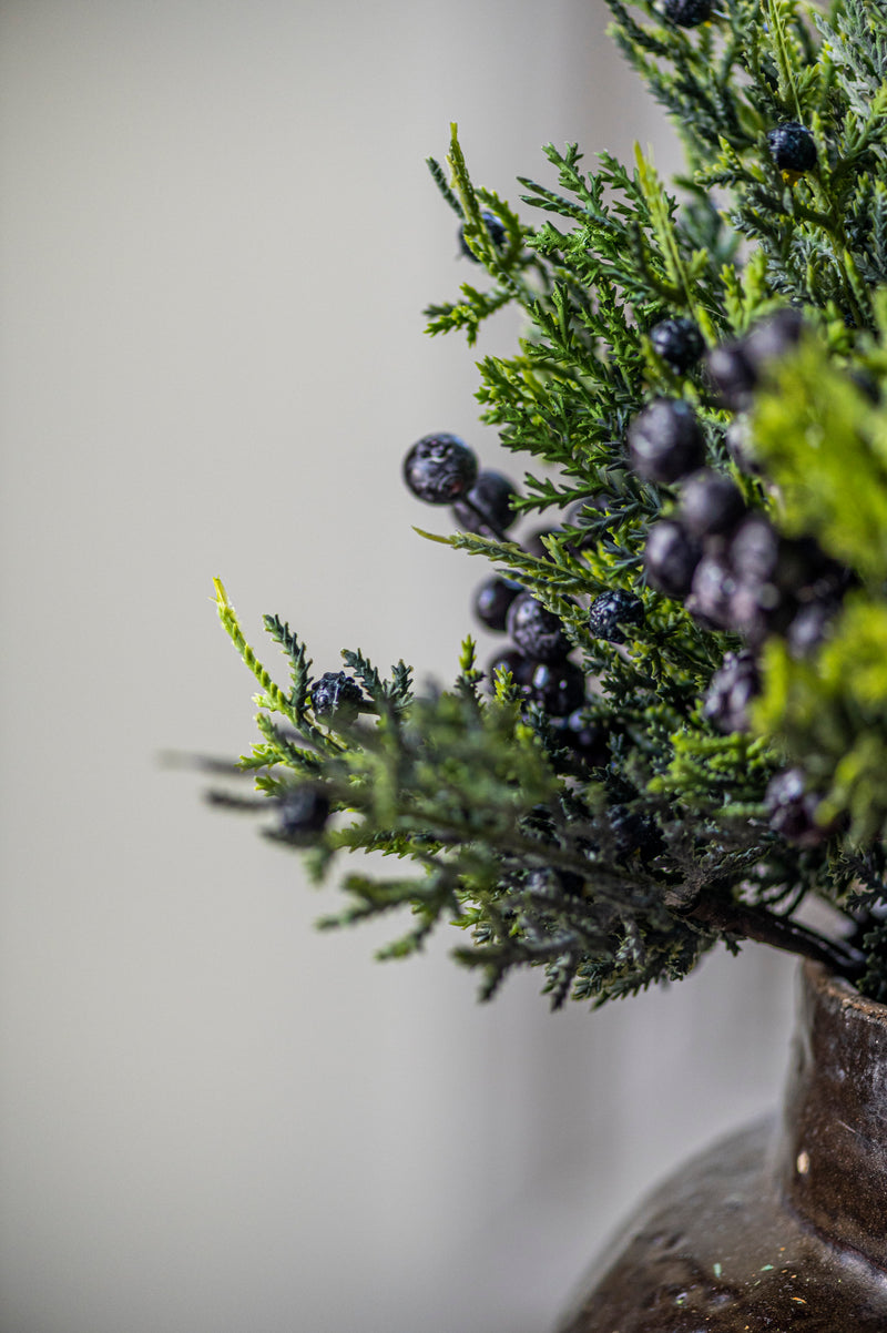 16.25 Inch Cedar & Blueberry Bundle (6 Stem)