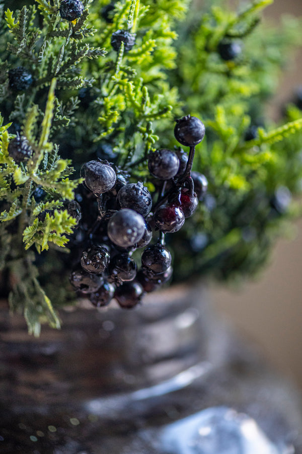 16.25 Inch Cedar & Blueberry Bundle (6 Stem)