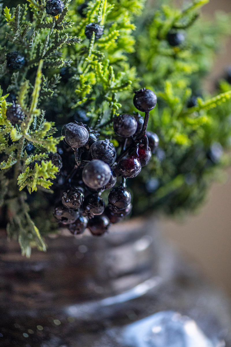 16.25 Inch Cedar & Blueberry Bundle (6 Stem)